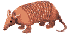 armadillo
