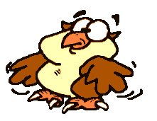 owl