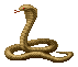 cobra