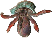 crab dance