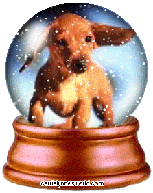 dachsund snowglobe