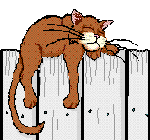 fence cat