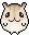 hamster