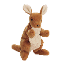 kangaroo