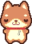 shiba