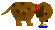 dog drink
