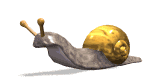 snail