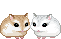 hamsters