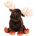 moose