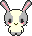 rabbit