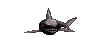 shark