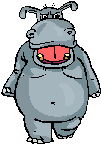 hippo