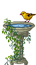 bird bath