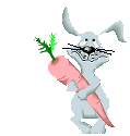 rabbit