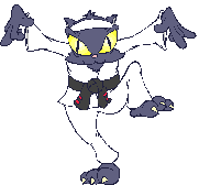 karate cat