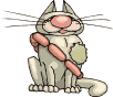 hot dog cat