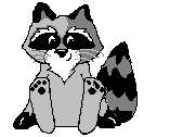 raccoon