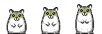 hamsters