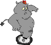 hippo