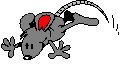 mouse