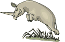 rhino