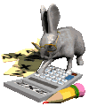 rabbit