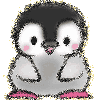 baby penguin