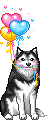 husky