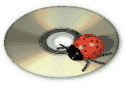 ladybug disc