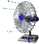 fan