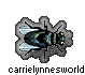 fly