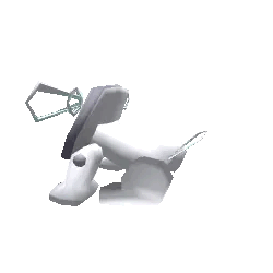 idog