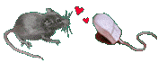 mice