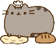 pusheen