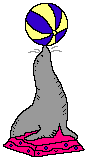 sea lion