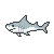 shark