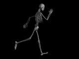 skeleton