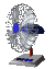 fan