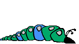 caterpillar