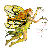 fairy