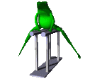 frog