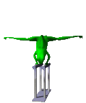 frog