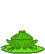 frog