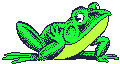 frog