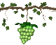 grapes