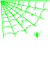 spiderweb