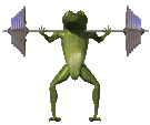 frog