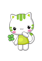 clover cat