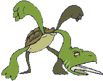 turtle