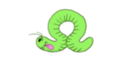 worm